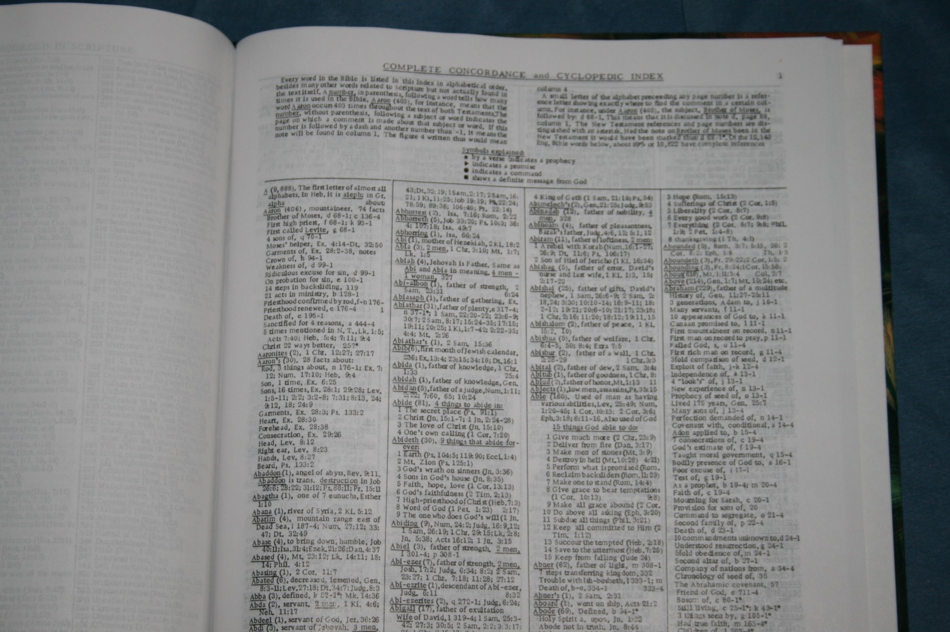 dake annotated reference bible review