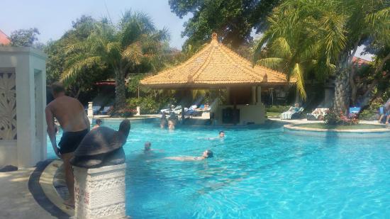 bali tropic resort and spa reviews