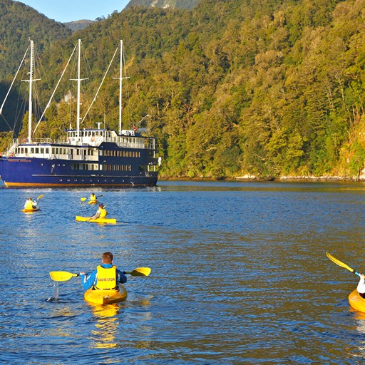 doubtful sound overnight cruise review
